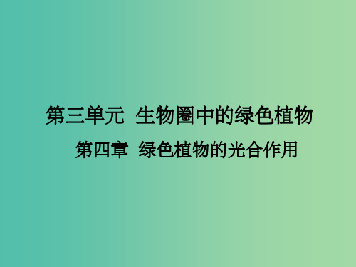 中考生物 第三单元 第四章 绿色植物的光合作用复习(考点突破+课堂检测+课后巩固)新人教版