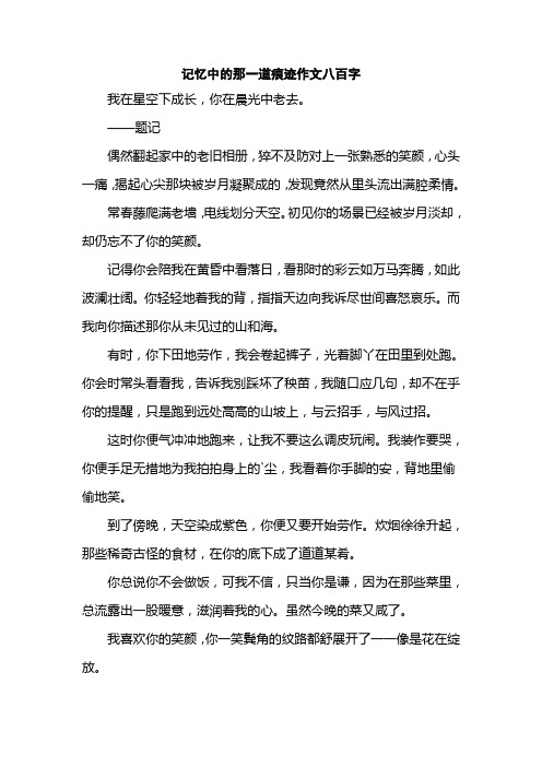 记忆中的那一道痕迹作文八百字