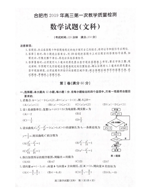 安徽省合肥市2019届高三第一次教学质量检测数学试题(文科)(PDF版)