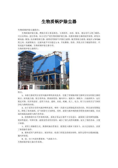 生物质锅炉除尘器