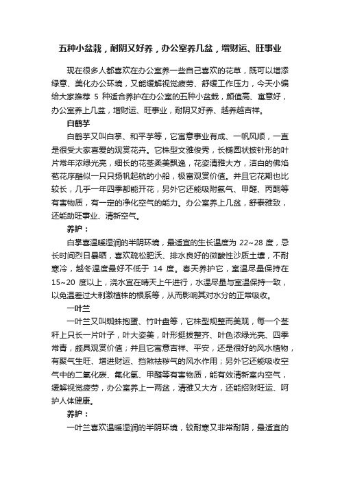 五种小盆栽，耐阴又好养，办公室养几盆，增财运、旺事业