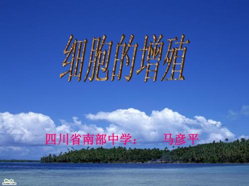 细胞增殖的复习课件