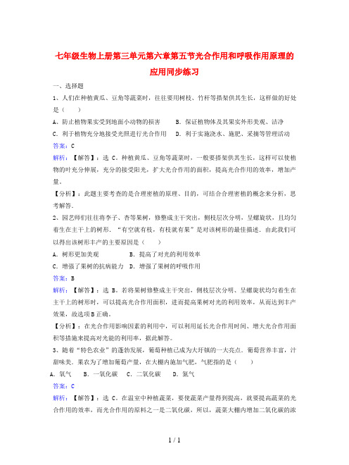 七年级生物上册第三单元第六章第五节光合作用和呼吸作用原理的应用同步练习