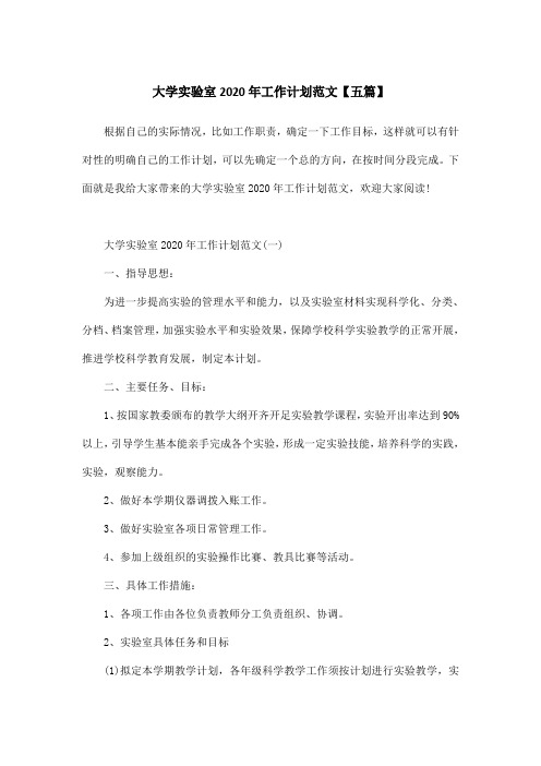 大学实验室2020年工作计划范文【五篇】