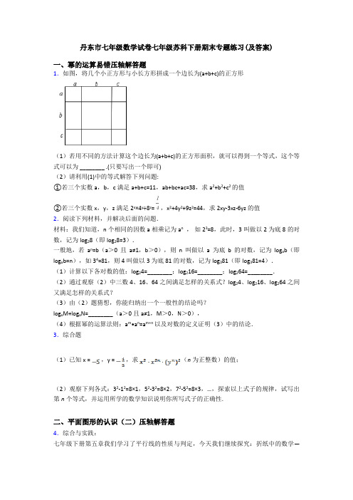 丹东市七年级数学试卷七年级苏科下册期末专题练习(及答案)