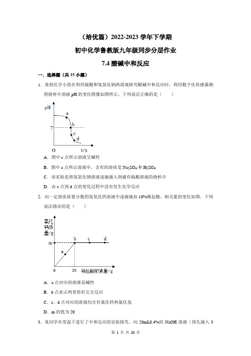 (培优篇)2022-2023学年下学期初中化学鲁教新版九年级同步分层作业7