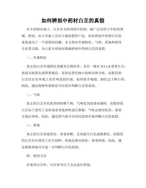 如何辨别中药材白芷的真假