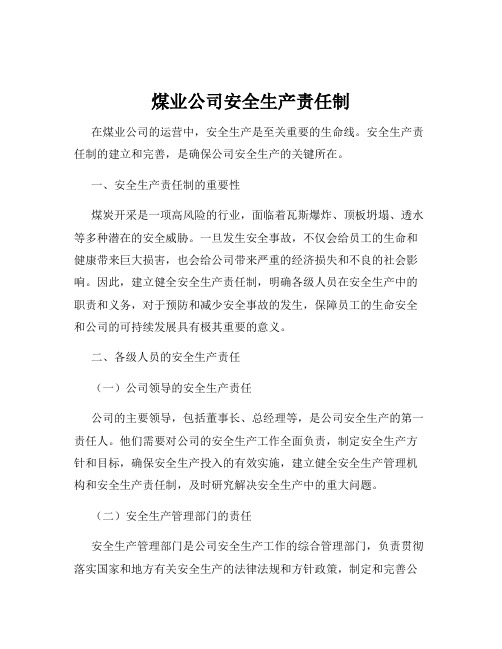 煤业公司安全生产责任制