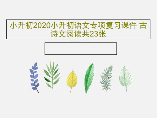 小升初2020小升初语文专项复习课件 古诗文阅读共23张25页PPT