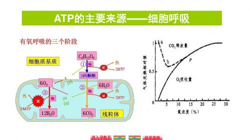 自主学习能力测评高三生物一轮复习ATP的主要来源——细胞呼吸