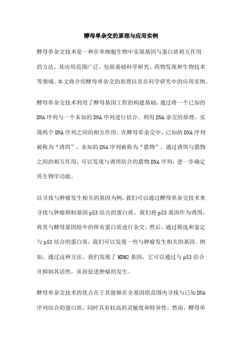 酵母单杂交的原理与应用实例