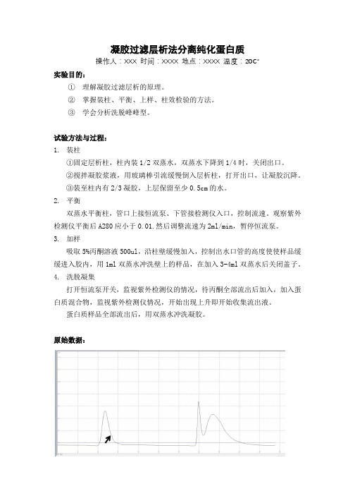 “凝胶过滤层析法分离纯化蛋白质”生化实验报告