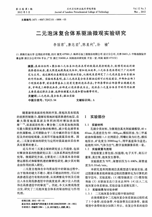 二元泡沫复合体系驱油微观实验研究