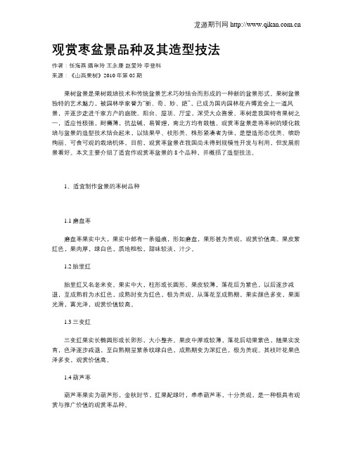 观赏枣盆景品种及其造型技法