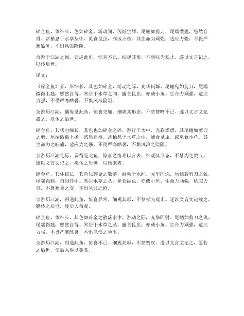 《碎金鱼》文言文翻译