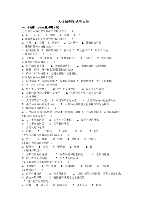 人体解剖学试卷及答案