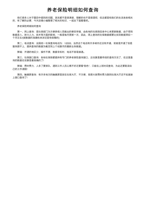 养老保险明细如何查询