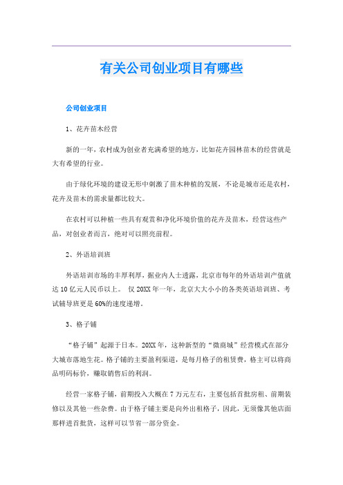 有关公司创业项目有哪些