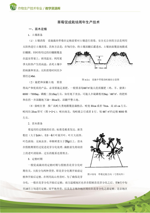 设施果树生产草莓促成栽培周年生产技术电子教材1