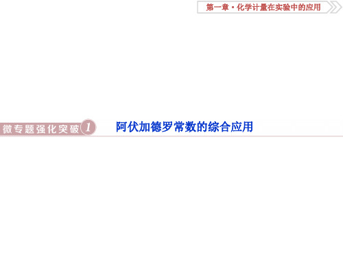 一轮复习人教版 阿伏加德罗常数的综合应用 课件(13张)