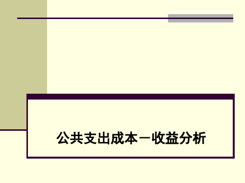 公共支出成本收益分析ppt课件