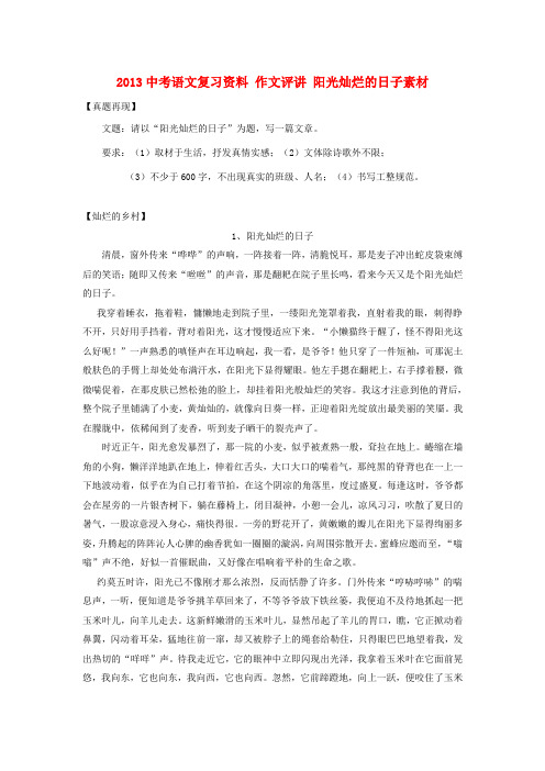 2013中考语文复习资料15 作文评讲 阳光灿烂的日子素材