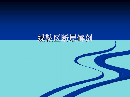 蝶鞍区断层解剖(共10张精选PPT)