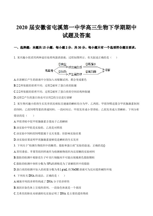 2020届安徽省屯溪第一中学高三生物下学期期中试题及答案