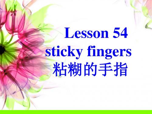 新概念第二册Lesson54 (共33张PPT)