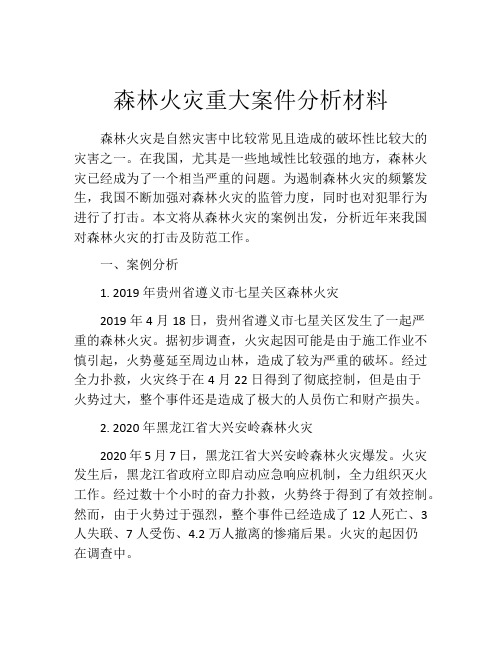 森林火灾重大案件分析材料