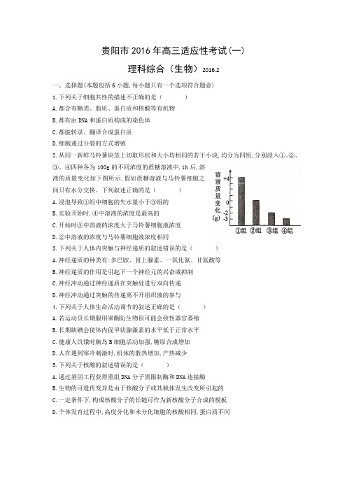 贵阳市2016年高三适应性考试(一)一模卷word