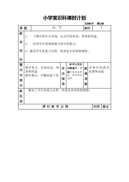 小学科学竹教案