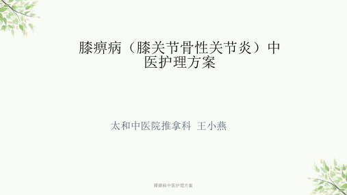 膝痹病中医护理方案课件