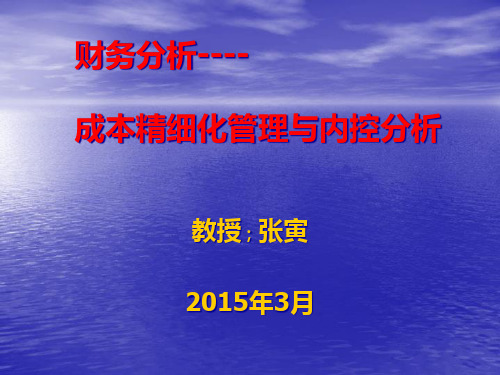 成本精细化管理与内控分析课件.pptx