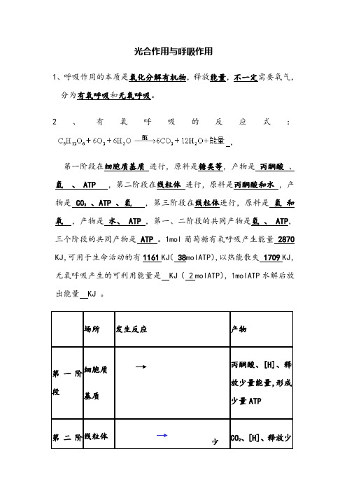 高考生物知识点光合作用与呼吸作用