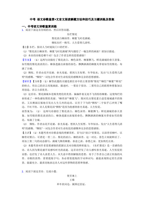 中考 语文诗歌鉴赏+文言文阅读解题方法和技巧及习题训练及答案