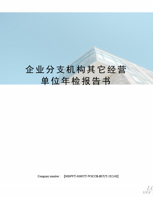 企业分支机构其它经营单位年检报告书