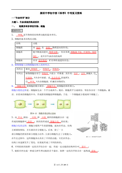 深圳中学初中部《科学》中考复习资料