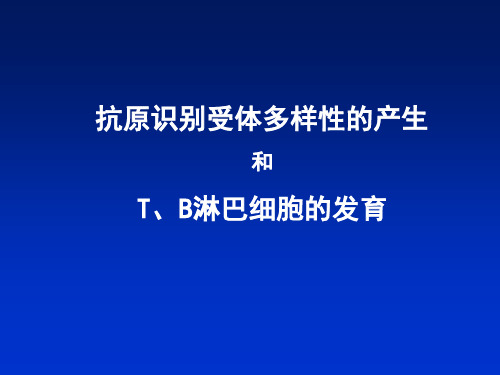 抗原识别受体多样性的产生和T、B淋巴细胞的发育