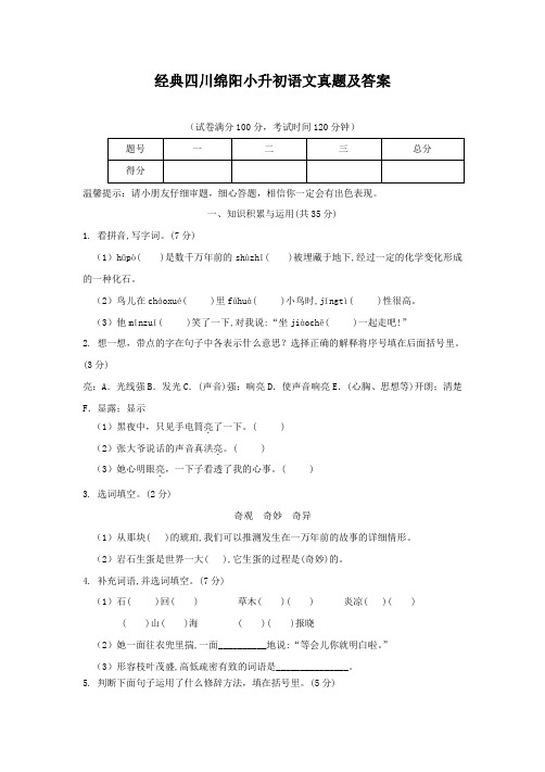 【经典】四川绵阳小升初语文真题(含答案解析)