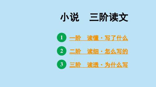 中考语文现代文阅读系统训练之小说三阶读文pptx