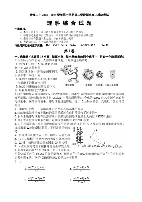 山东省青岛市青岛二中2019届高三上学期第二学段模块(期末)考试理科综合试题(含答案)