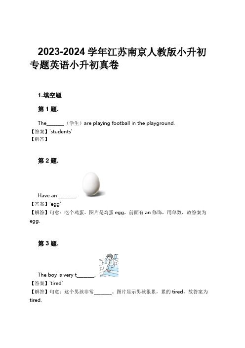 2023-2024学年江苏南京人教版小升初专题英语小升初真卷习题及解析