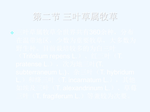 精品课程牧草及饲料作物栽培学第五章 豆科牧草(三叶草属牧草)PPT课件