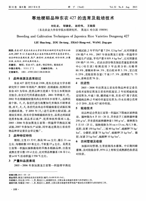 寒地粳稻品种东农427的选育及栽培技术