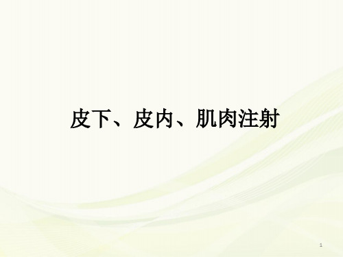 皮下、皮内、肌肉注射PPT参考课件