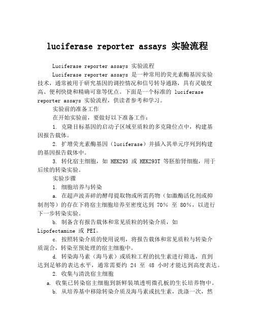 luciferase reporter assays 实验流程