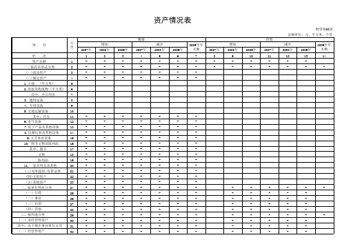 资产情况表