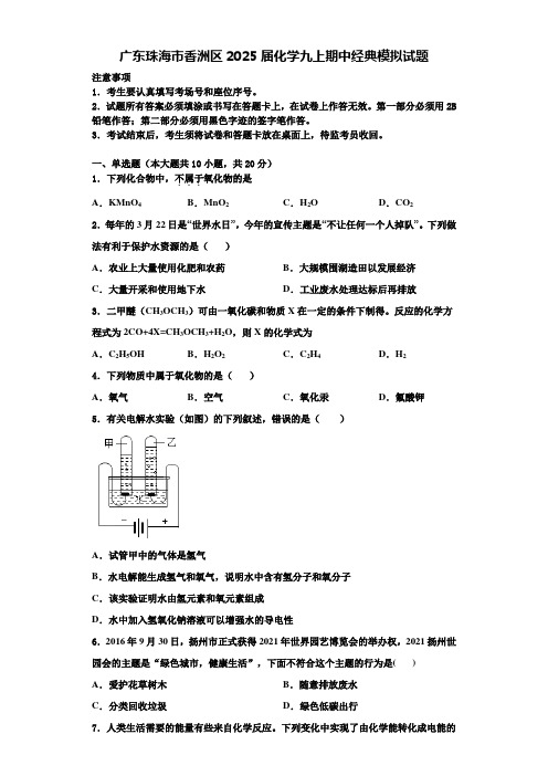 广东珠海市香洲区2025届化学九上期中经典模拟试题含解析