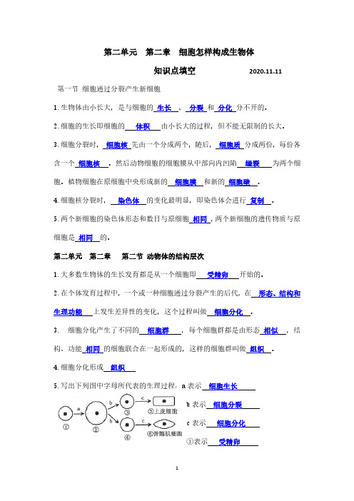 七年级生物第二单元第二章知识点填空(带答案)